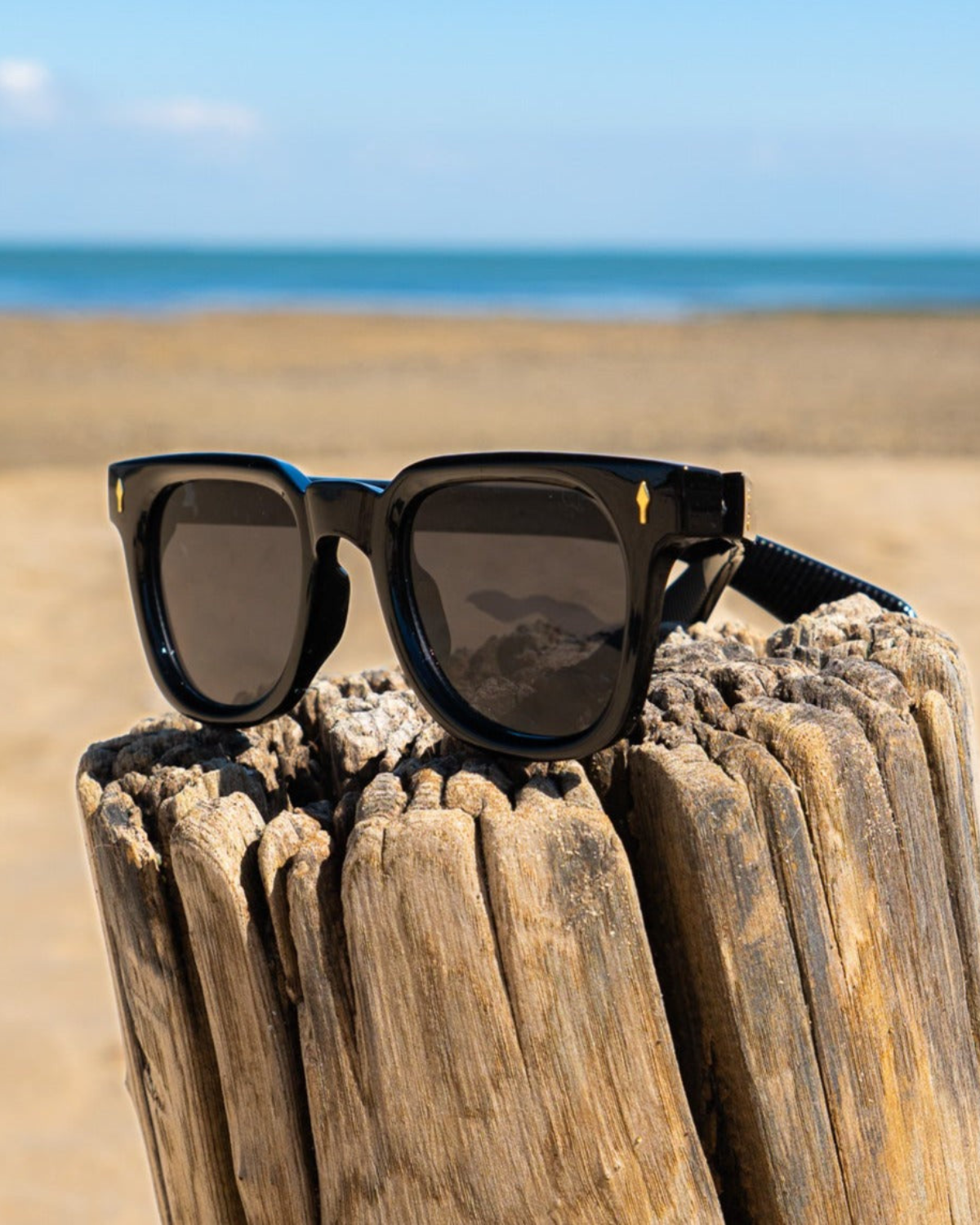 Windsor Sunglasses